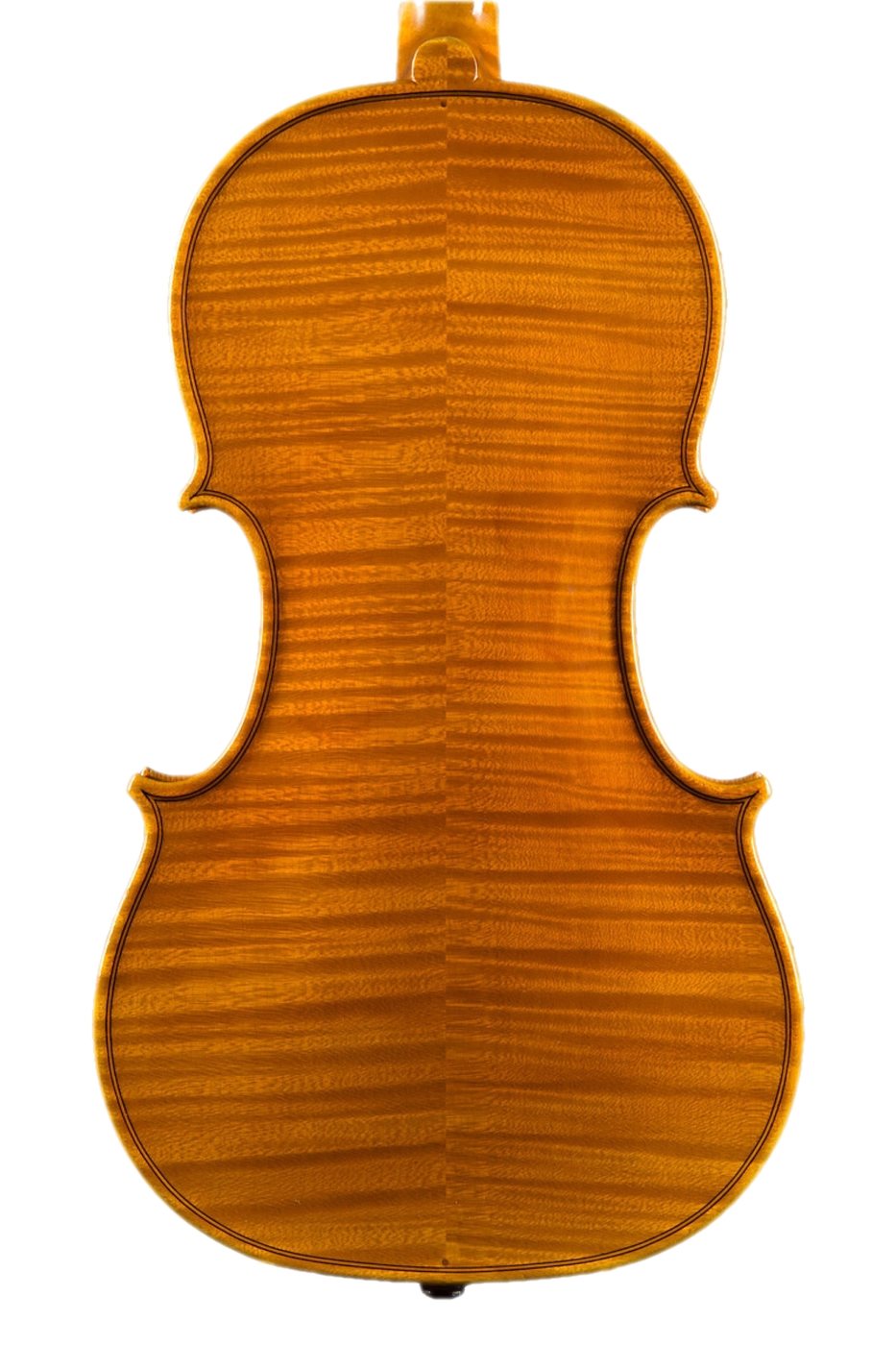 Flamed maple back of a handmade violin