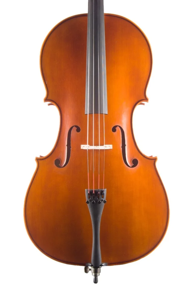 Handmade cello by Gregorio Martini, Opus 02 — front