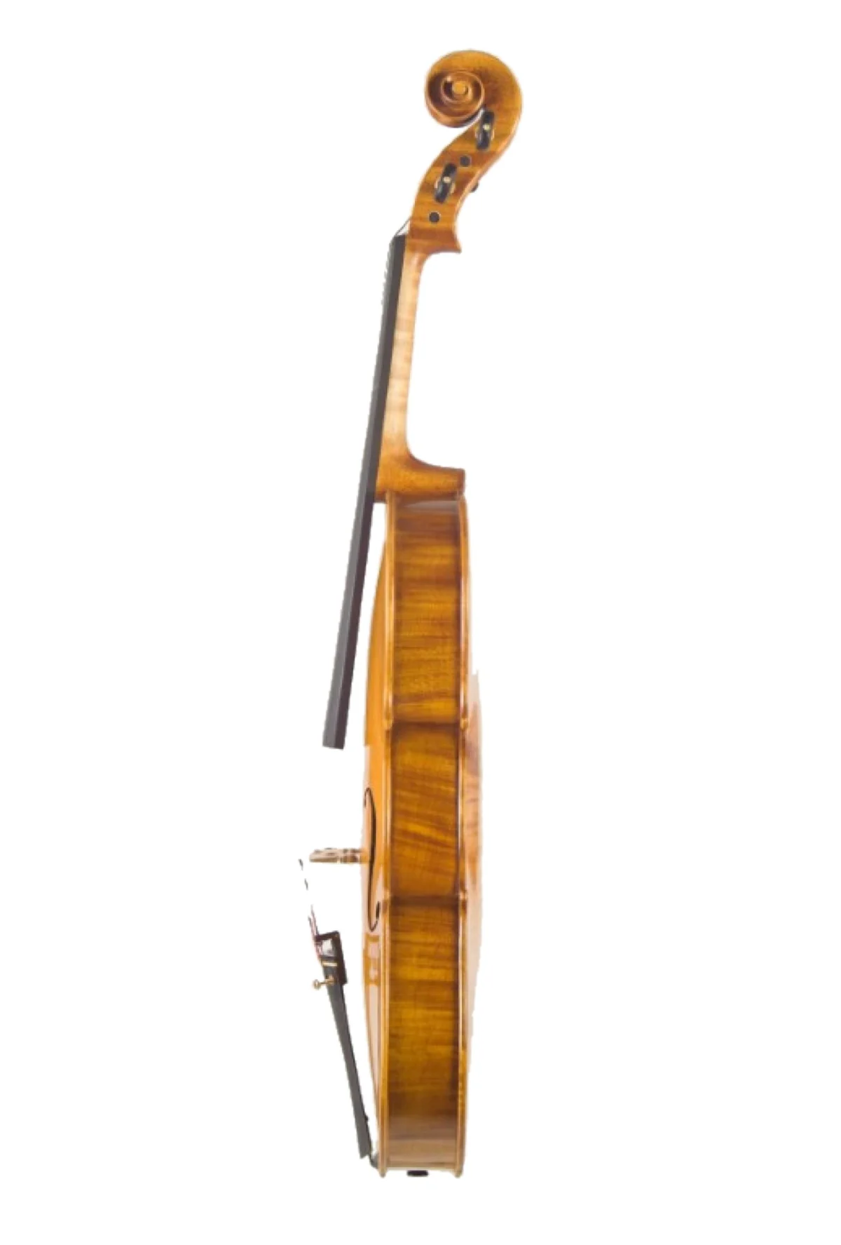 Handmade viola by Gregorio Martini, Opus 01 — profile